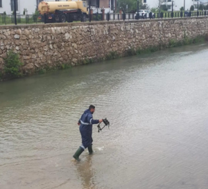 LAMBALARI KIRIP DEREYE ATMIŞLAR