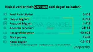 Dark Web'de Kaç Paraya Satılıyor?