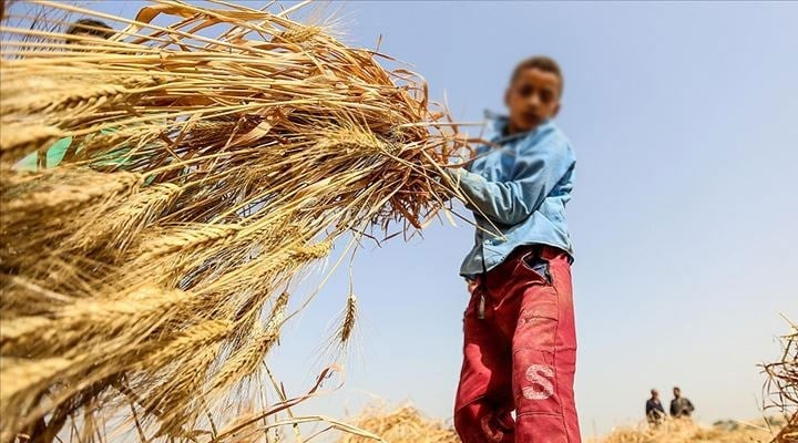 12 Haziran: Dünya Çocuk İşçiliği ile Mücadele Günü