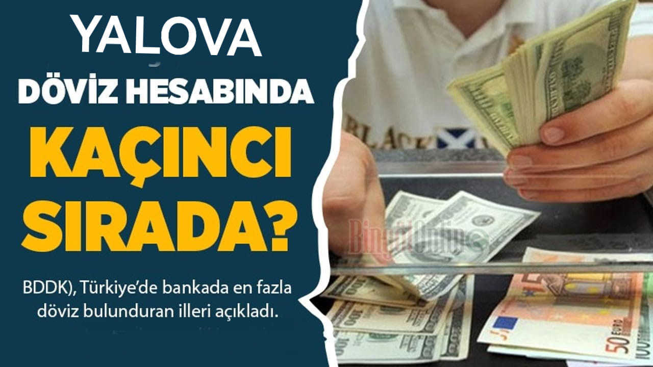 Türkiye’nin Döviz Zengini İlleri Açıklandı: Yalova 11. Sırada