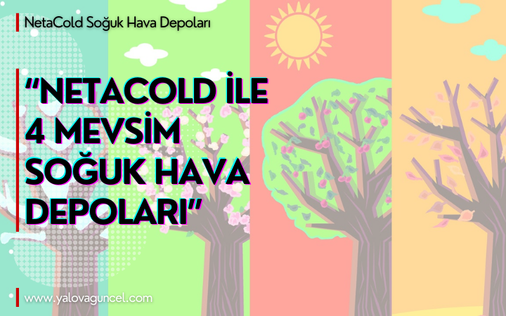 NetaCold Proje Tasarımı ve Planlama: Başarı İçin Temelden Doğru Adımlar